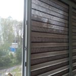 Фото Зебра  Уни